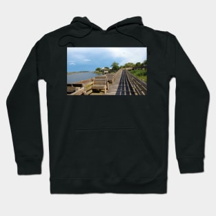 Riverview Park #2 Hoodie